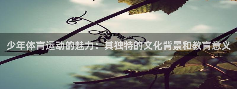 球王会体育：少年体育运动的魅力：其独特的文化背景和教育意义