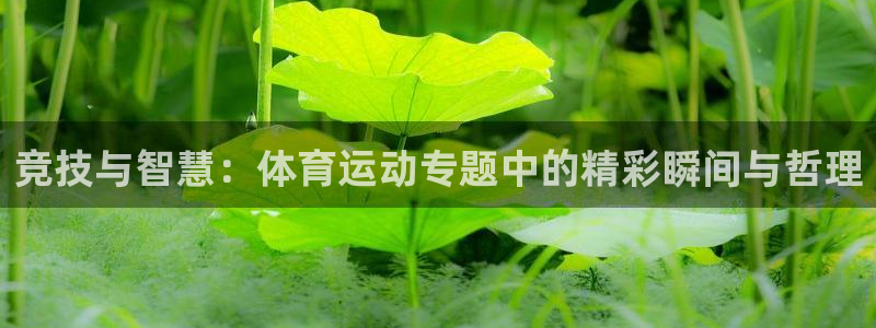 球王会体育：竞技与智慧：体育运动专题中的精彩瞬间与哲理