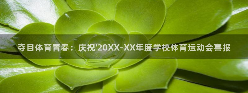 球王会体育：夺目体育青春：庆祝\'20XX-XX年度学校体育运动会喜报