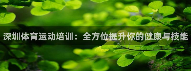 球王会体育：深圳体育运动培训：全方位提升你的健康与技能