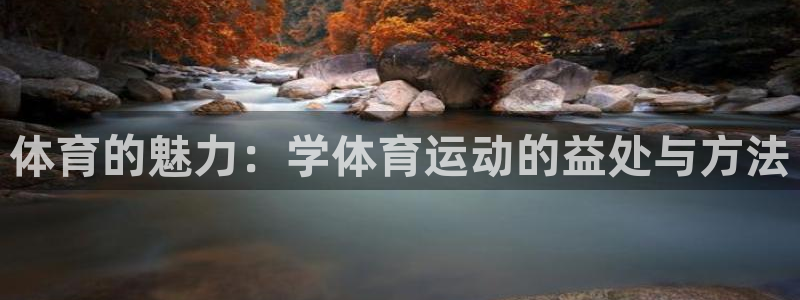 球王会体育：体育的魅力：学体育运动的益处与方法