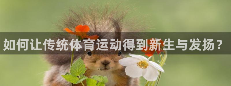 球王会体育：如何让传统体育运动得到新生与发扬？